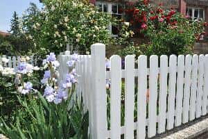 Professional Fencing Services in Connecticut