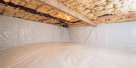 Crawl Space Repair