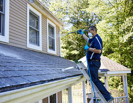 soft washing for roofing in Pearland, TX