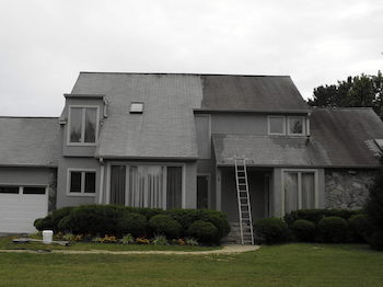 Soft Washing Roof Cleaning in Texas