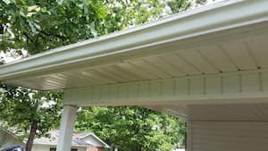 soft washing for gutters in Pearland, TX