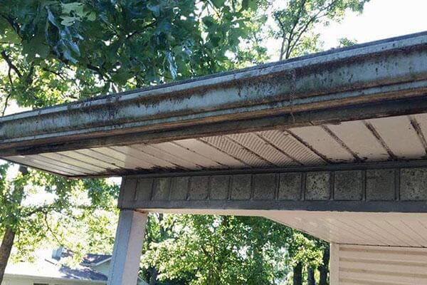 Staining and mildew on roof and gutters