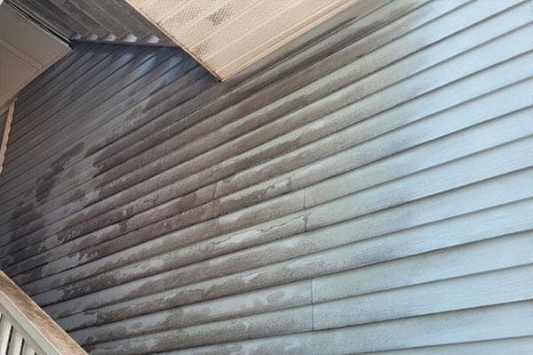 Mold and mildew grow in areas without direct sunlight