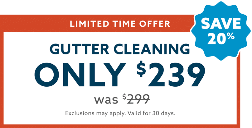 gutter cleaning coupon