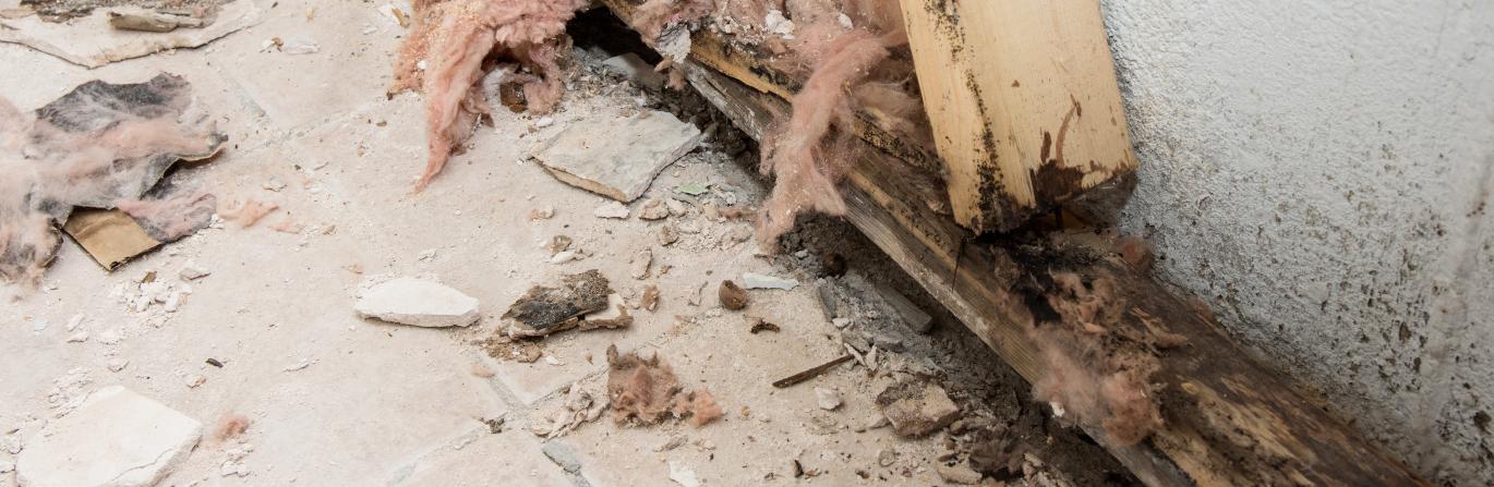 Basement Wood Rot Repair by Thrasher Foundation Repair