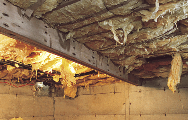 How to Repair Wood Damaged by Rot, Mold, Termites, and Pests