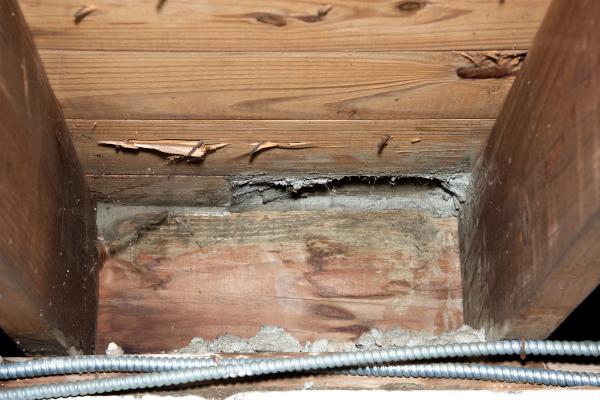 Wood Water Damage in Denver, Colorado