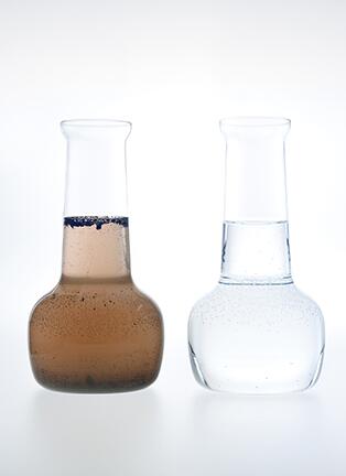 Water Testing Samples in Montverde