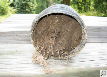 clogged french drain found in Polk, Ohio