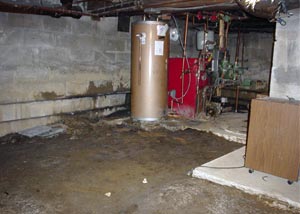 A damp basement with an inconsistent concrete floor