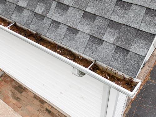 Clogged gutters