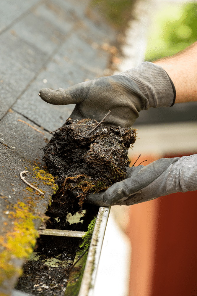 cleaning gutters