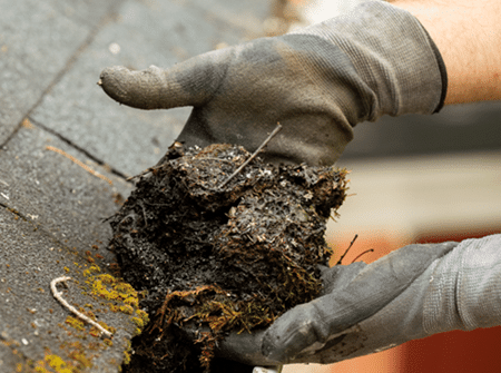 Cleaning Gutters