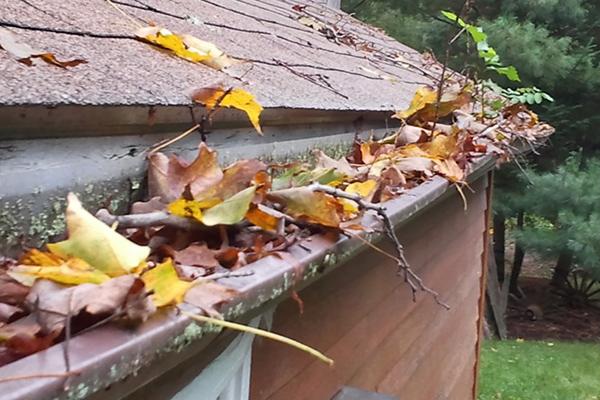 Clogged gutters