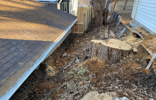 Large Tree and Clogged Gutters Cause Bowing and Leaning Walls in Omaha