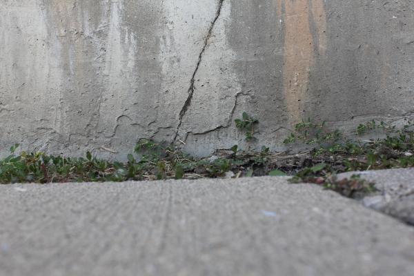 Stained, Cracked Foundation