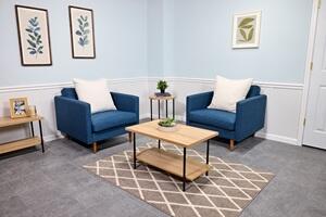 Everlast Finished Basement wall restoration system