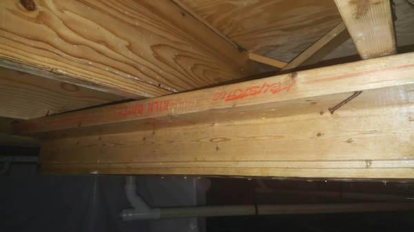 Crawl Space Mold Removal In Knoxville, TN