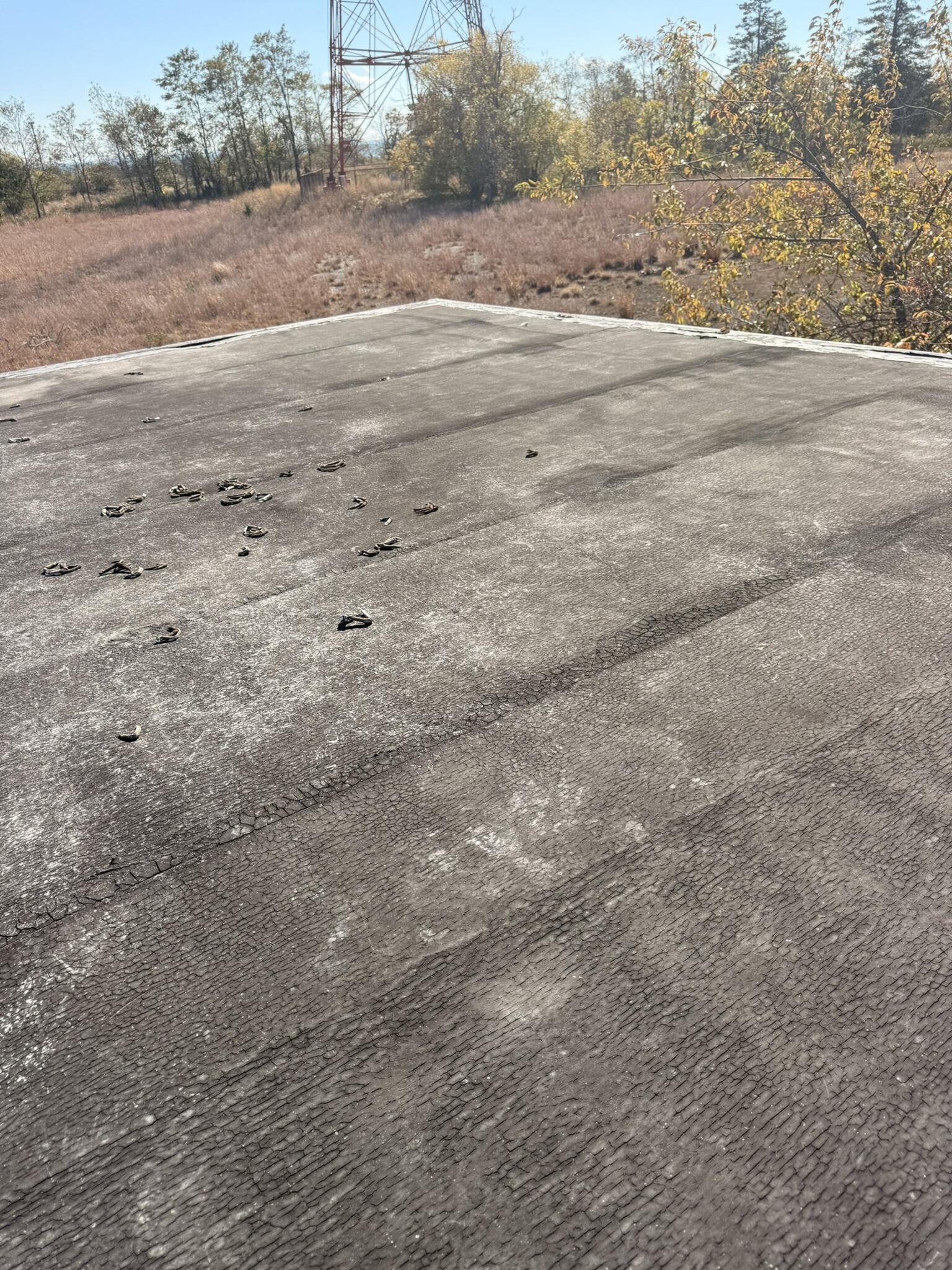 Befor Flat Roof Repair in Greater Milford