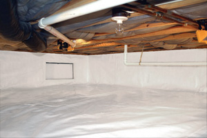 CleanSpace Crawlspace Repair