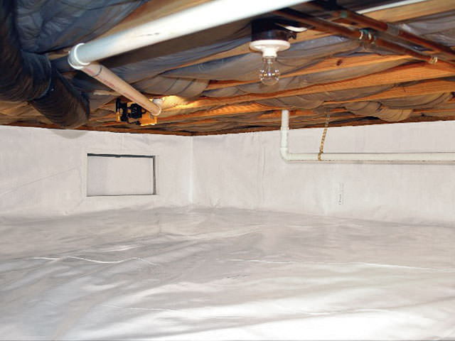 crawl space mold removal companies near me