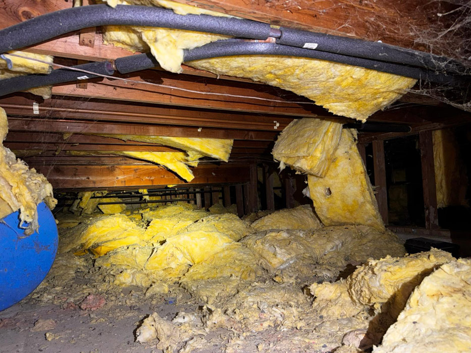 Damaged insulation in a crawl space