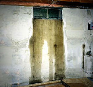 Wellduct Basement Window Well Drain Prevent Basement Flooding