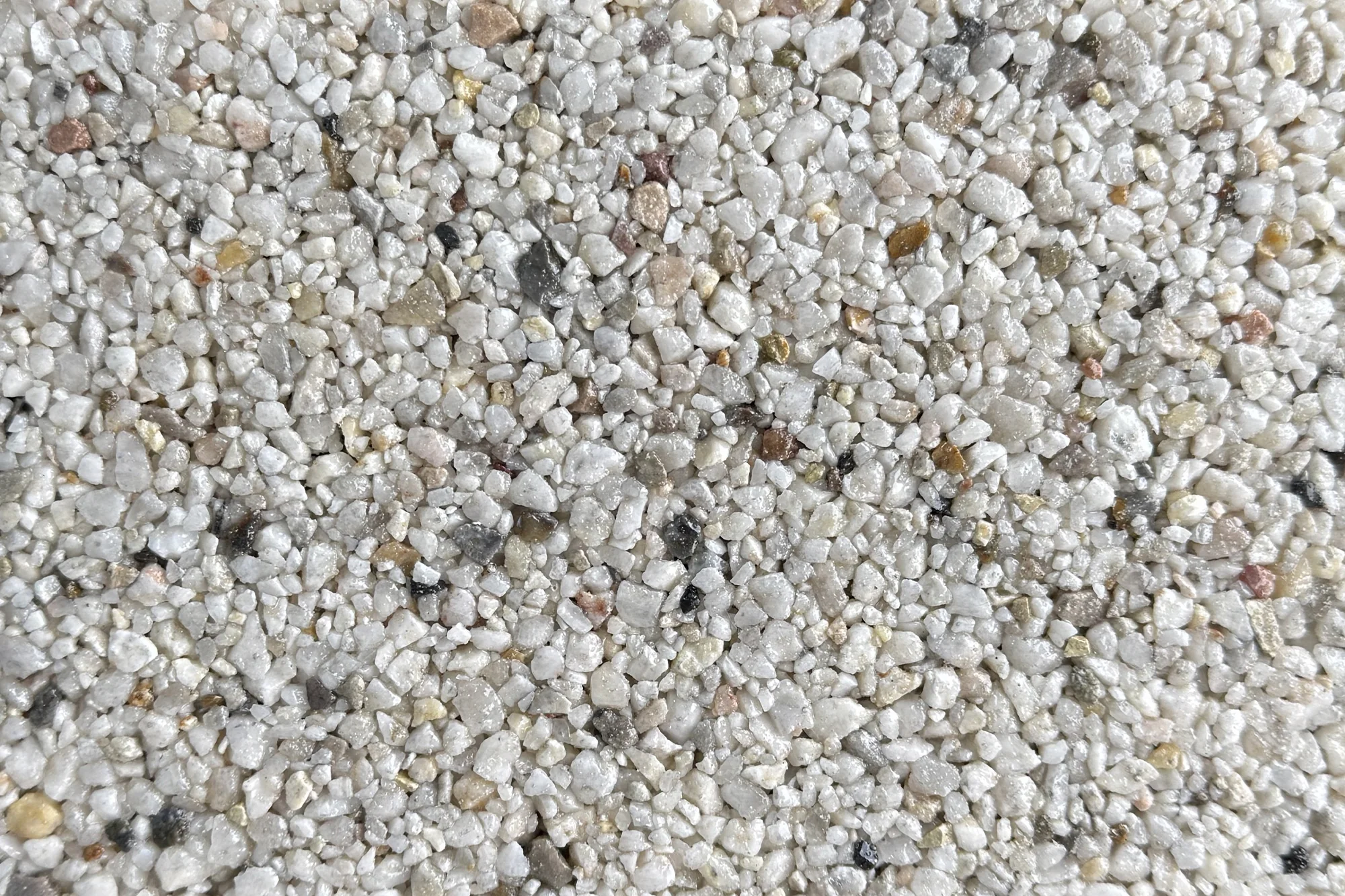 Alaskan Tundra