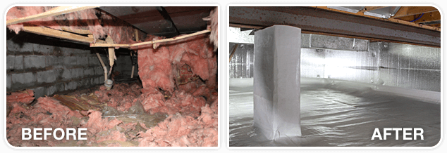 before after crawlspace