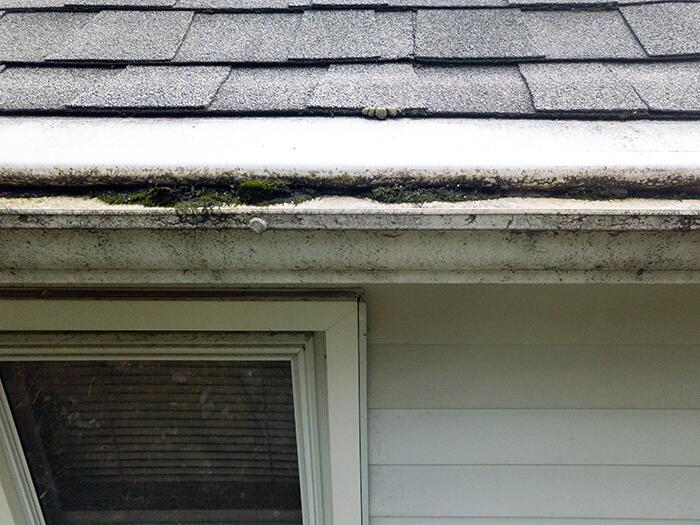 Gutter Cover