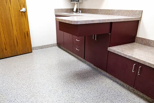 Animal hospital room with commercial polyaspartic floor coating