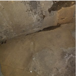 Why Do I have a Basement Leak? - Image 9