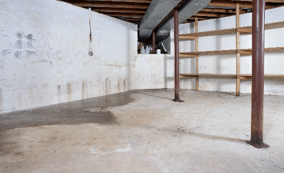 Water-damaged basement showing the importance of professional restoration