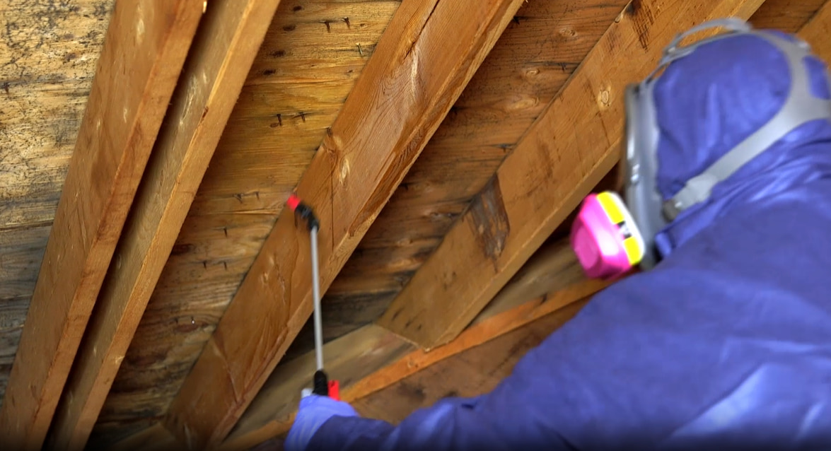 Crawl Space Mold Treatment in Greater Jacksonville