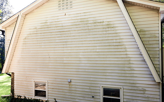 Soft Wash Roof Cleaning Before in , 