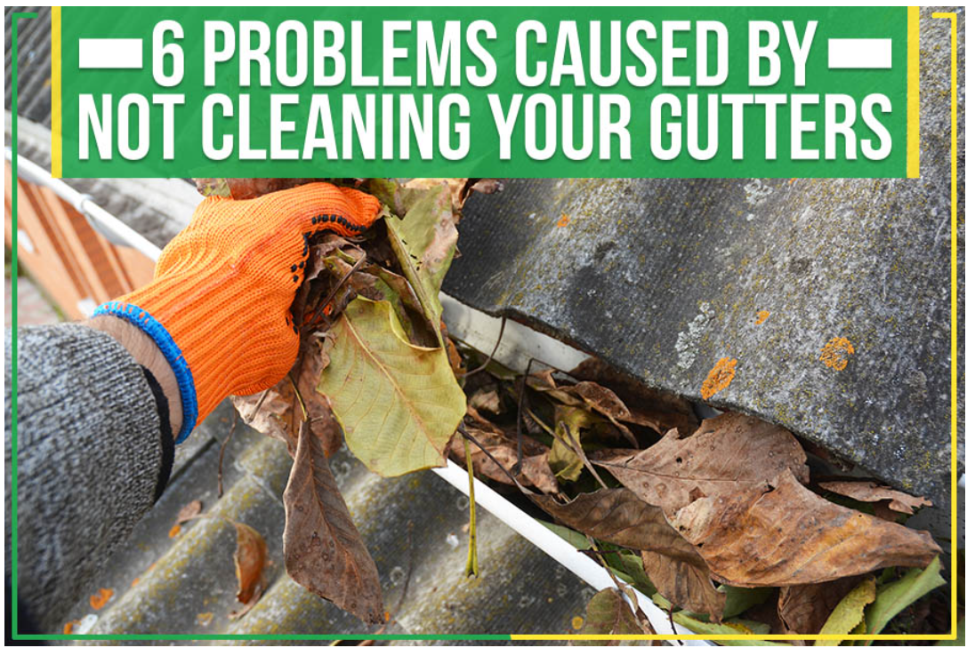 6 Problems Caused By Not Cleaning Your Gutters