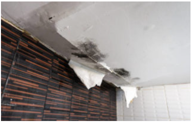 Got a Leaky Roof?