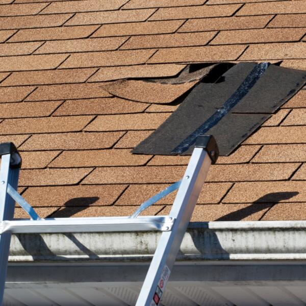 Damaged Roof Shingles