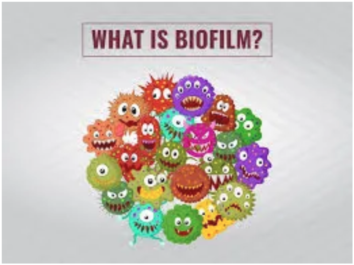 What is Biofilm?
