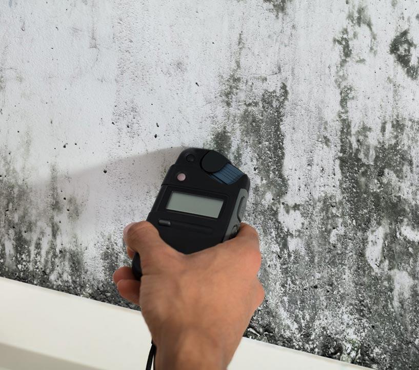Mold Testing Service