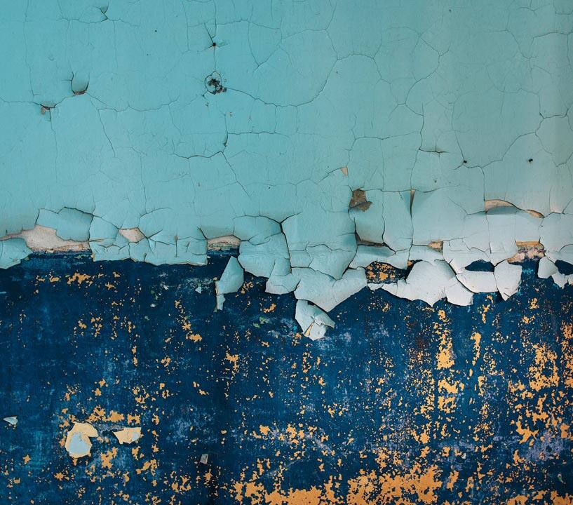 Mold Growth