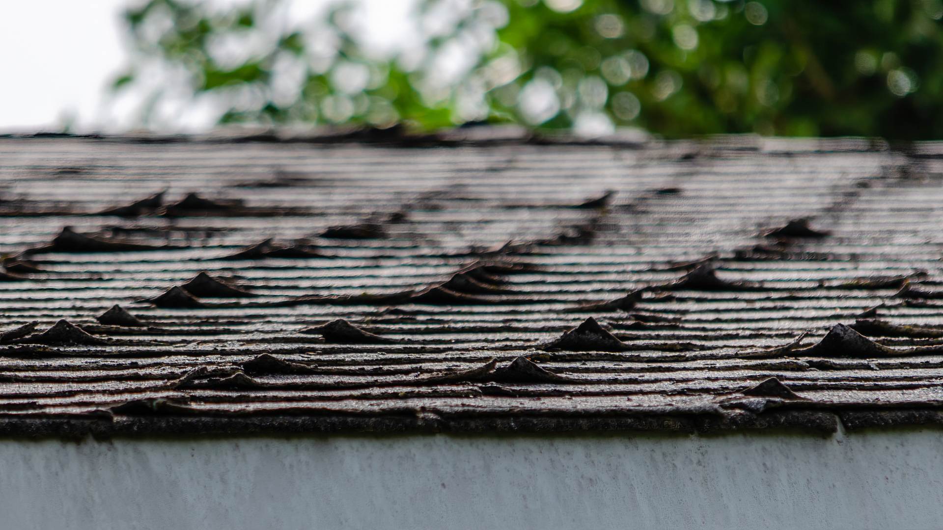Roof Damage