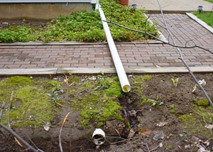 A gutter downspout extension causing a serious problem in the landscaping and along a walkway