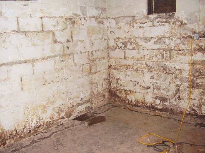 Waterproofing Paint For Basement : Basement Waterproofing Basement Walls In Need Of Proper Waterproofing Paint Peeling Off Of The Basement Walls : Paints with waterproof quality make sense in basement issues.