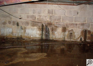 A basement with flaking, chipping waterproof paint.