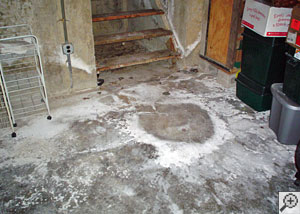 A concrete slab floor showing extreme signs of efflorescence.