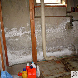 white powder known as efflorescence on basement walls.