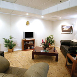 A finished basement living room with remodeled faux wood flooring, insulated walls, and drop ceiling tiles.