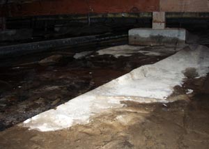 A vented crawl space that's showing advanced signs of mold, rot, and water damage