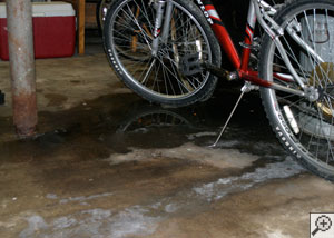 A basement floor that's flooding through several floor cracks.